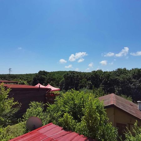 Guest House Fanny Синеморец Экстерьер фото