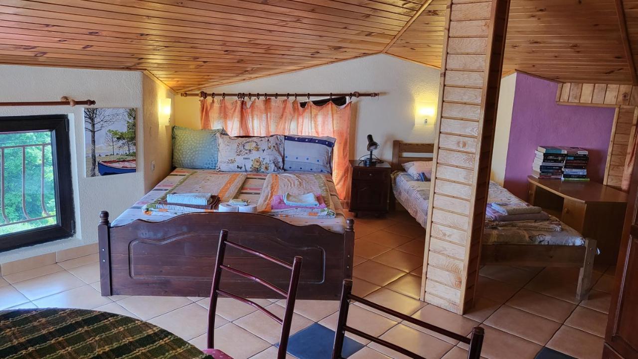 Guest House Fanny Синеморец Экстерьер фото