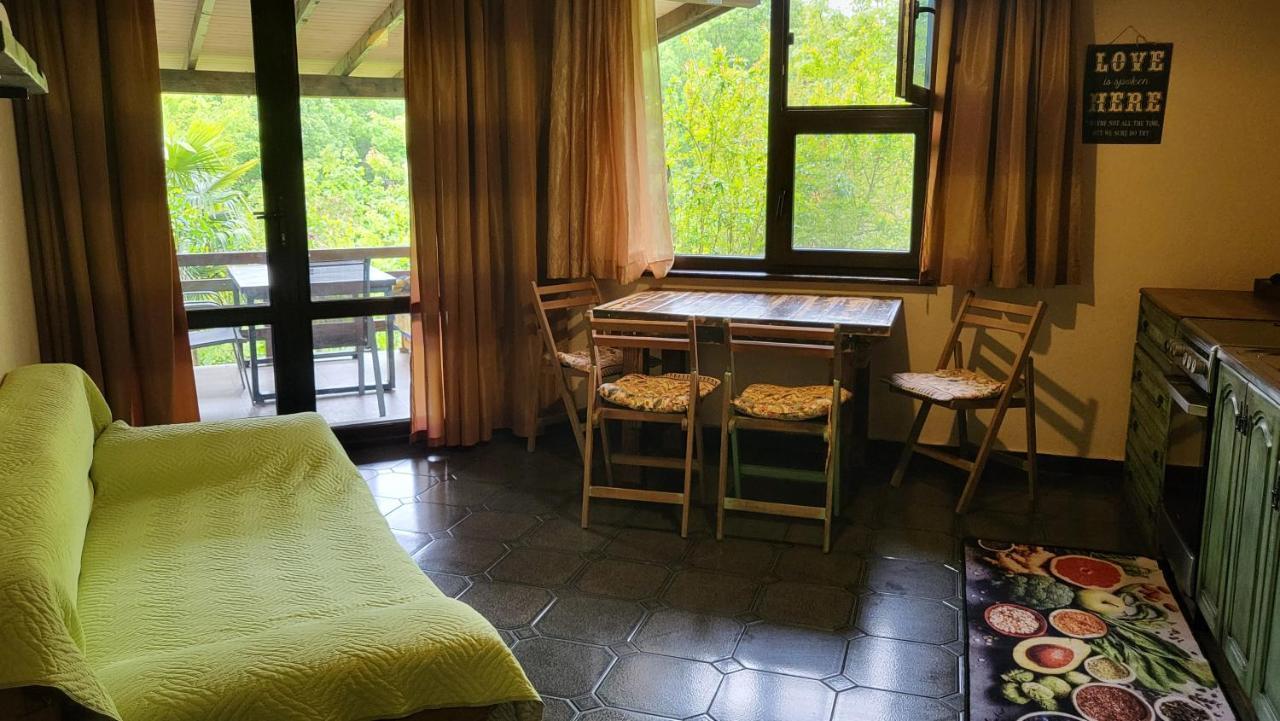 Guest House Fanny Синеморец Экстерьер фото